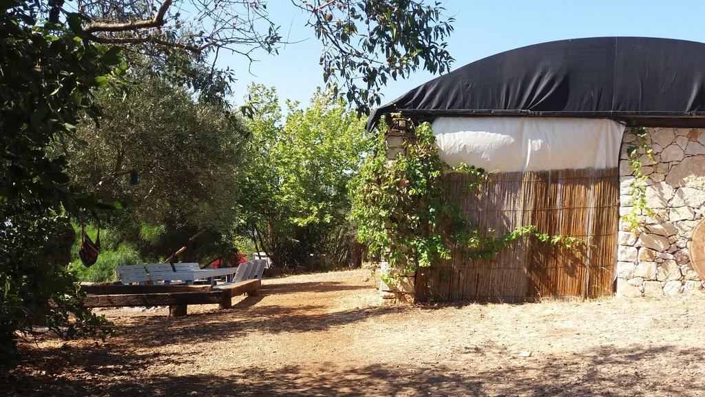 Back To Nature Camping & Huts Hotel Mikhmannim Luaran gambar